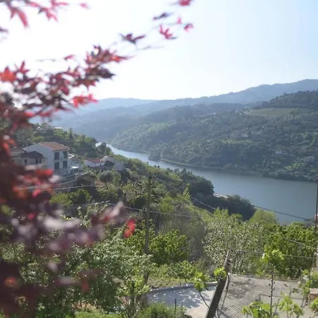 Lägenhet Quintinha De Mirao Douro Valley Resende